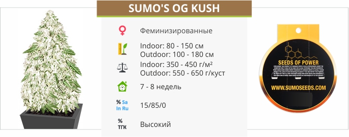 Sumos OG Kush