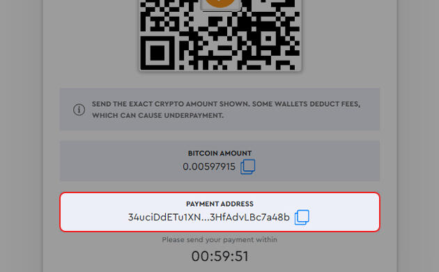 Отправка биткоина для оплаты онлайн-заказа