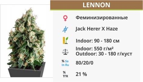 Lennon Lennon