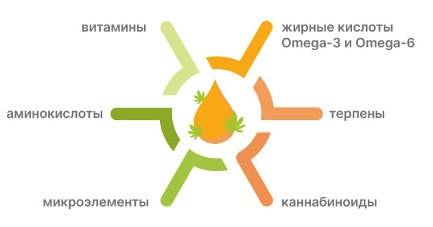 Полезные вещества в конопле Состав марихуаны: жирные кислоты, аминокислоты, витамины