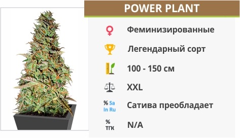 Power Plant Power Plant