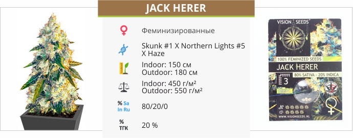 Jack Herer