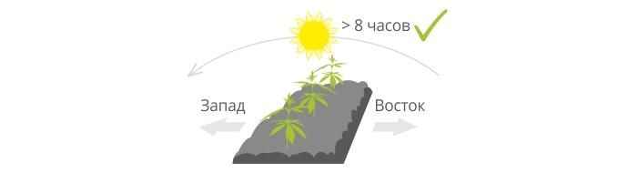 Расположение посадки автоцветов в аутдоре Расположение посадки автоцветов в аутдоре