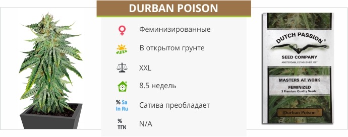 Durban Poison