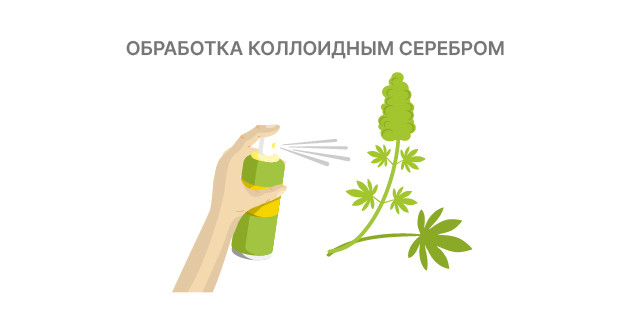 Естественный и химический способ Использование коллоидного серебра