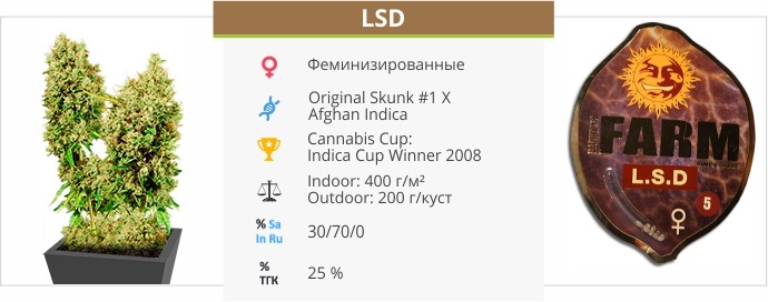 LSD