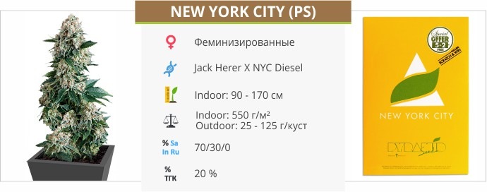 New York City