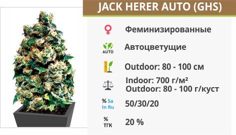Jack Herer Jack Herer