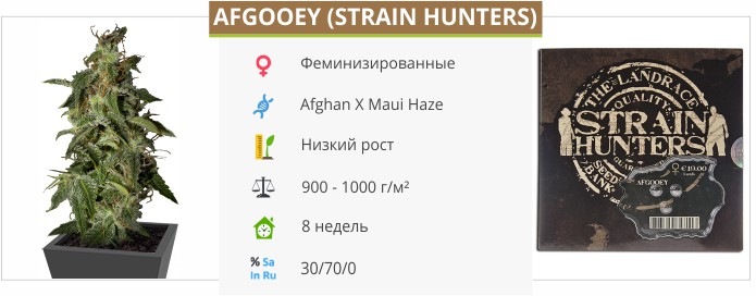 Afgooey