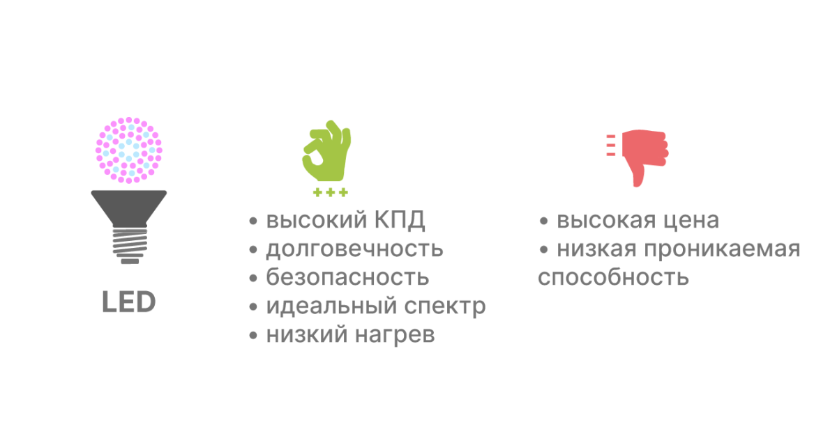 LED лампы