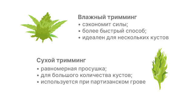Выбор метода тримминга: зависимость от условий и предпочтений
