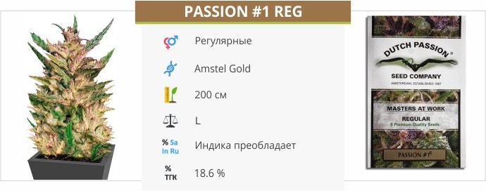 Passion 1