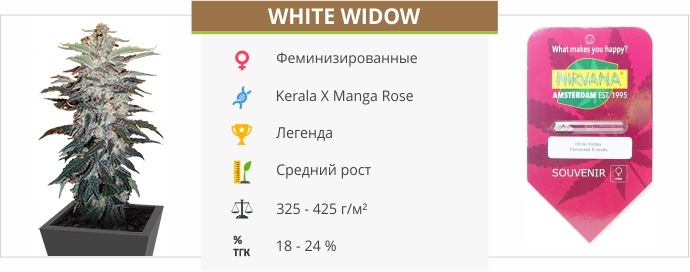 White Widow