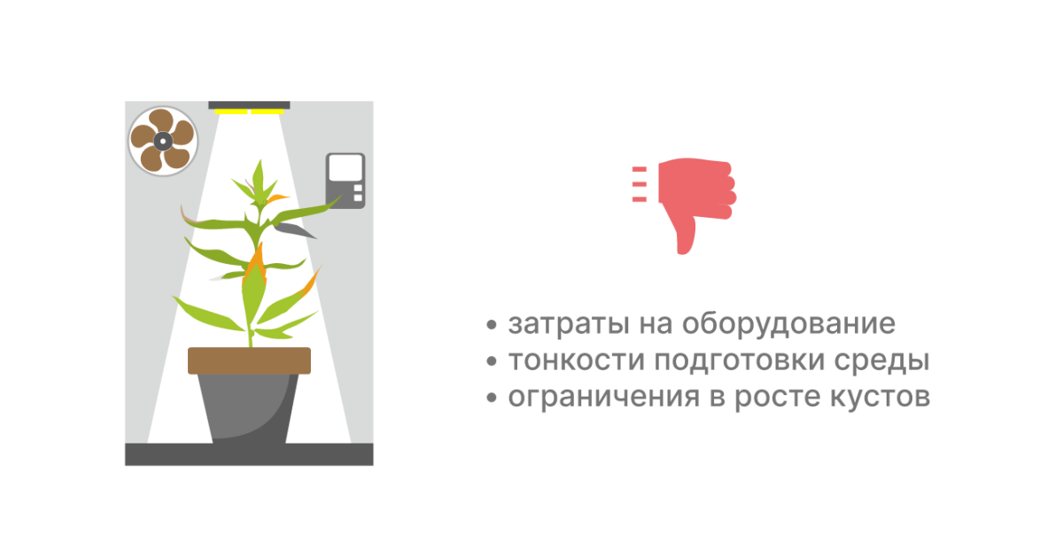 Минусы выращивания в индоре