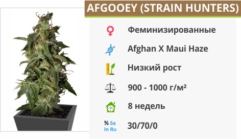 Afgooey Afgooey