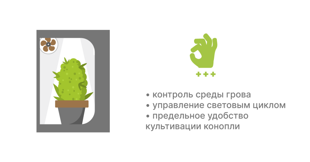Плюсы выращивания в индоре
