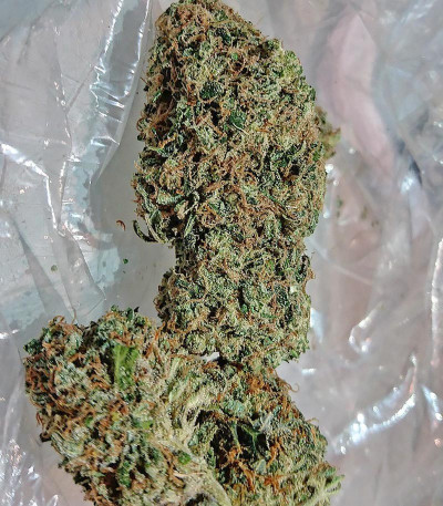 Kali & the Chocolate Factory fem (KFC Seeds) семена конопли