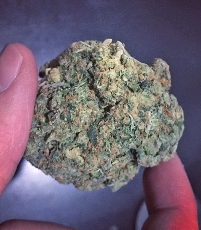 Neville's Haze fem (Green House Seeds)