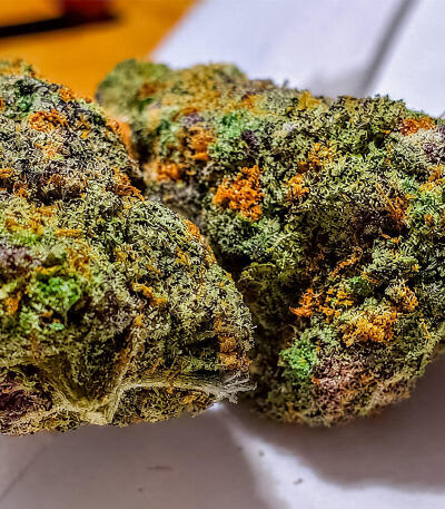 Z42 fem (FastBuds) семена конопли