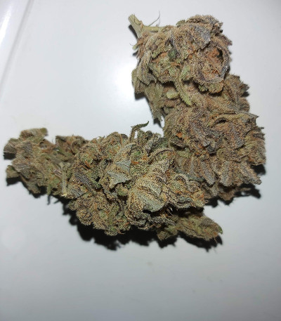 Peyote Critical fem (Barney's Farm) семена конопли
