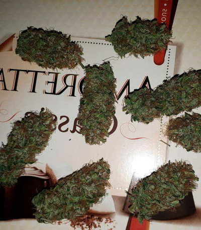 Buddha Syrup auto fem семена конопли