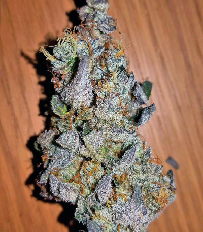 Ayahuasca Purple fem семена конопли
