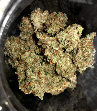 Gelato Auto fem (Herbies Seeds) семена конопли