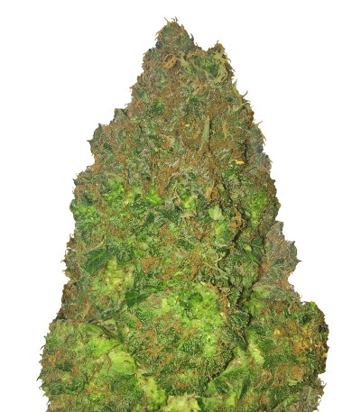 Fruit Punch Auto fem семена конопли