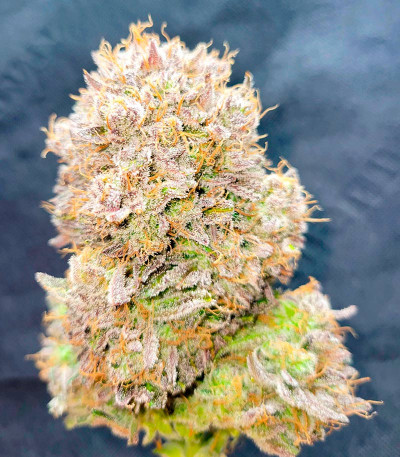 Ztrawberriez Auto fem (FastBuds) семена конопли