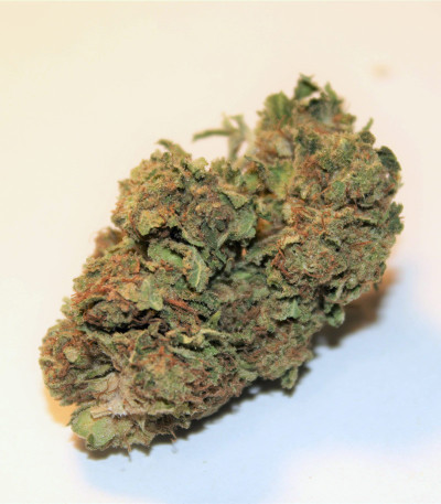 Delicious Cookies fem (Delicious Seeds) семена конопли