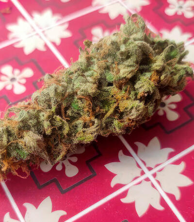 Also Know 47 Autoflower fem (Seedkeepers) семена конопли