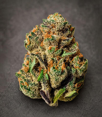 Z42 fem (FastBuds) семена конопли