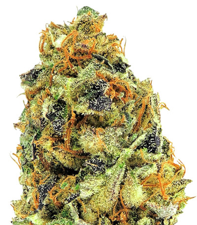 K.O. Kush fem семена конопли