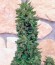 Blue Cheese Auto fem (Barney's Farm) семена конопли