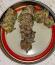 Punchberry Cookies RBX fem (Ethos Genetics) семена конопли