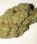 CBD Auto 1:1 auto fem (FastBuds Seeds) семена конопли