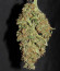 CBD Auto 20:1 fem (FastBuds) семена конопли