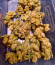 Sherbert Gorilla fem (Dr. Krippling Seeds) семена конопли