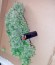 Chronic Haze fem (World of Seeds) семена конопли