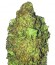 Short & Sweet Auto fem семена конопли