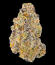 Mandarin Cookies R3 fem (Ethos Genetics) семена конопли