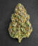 Z42 fem (FastBuds) семена конопли