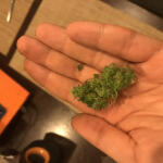 auto-white-widow-fem-pyramid-seeds.jpeg