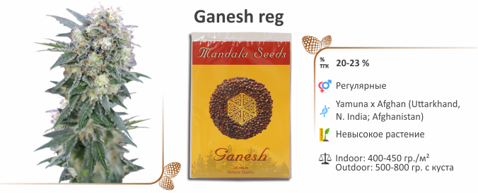 Ganesh Ganesh