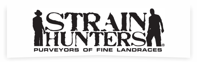 Strain Hunters Strain Hunters