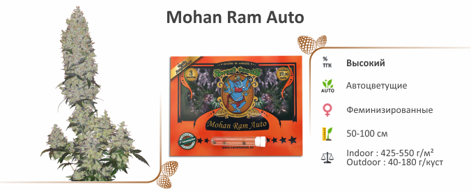 Mohan Ram Auto Mohan Ram Auto