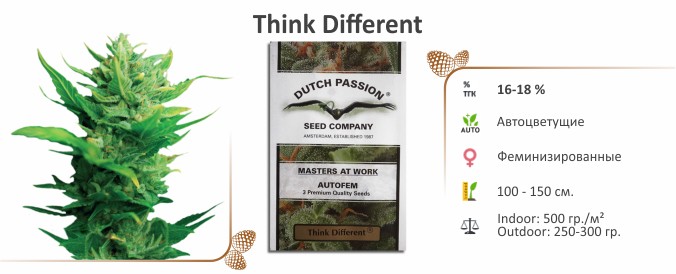 Think Different Think Different