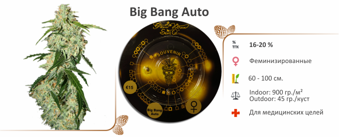 Big Bang Auto Big Bang Auto