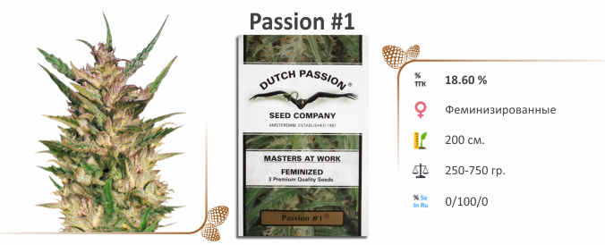Passion #1 Passion #1