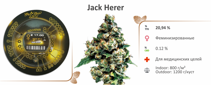 Jack Herer Каннабис Jack Herer